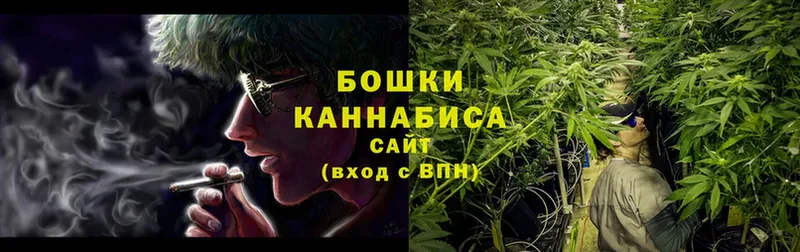 сколько стоит  Поворино  Шишки марихуана OG Kush 